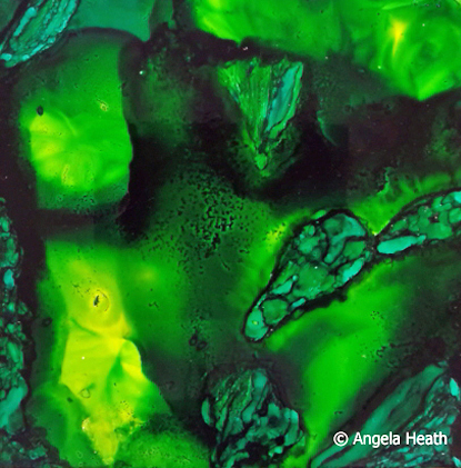 PAINTINGS_Sea Creatures Series No.&nbsp;3_2017